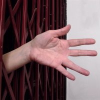 stretched hand through metal gate